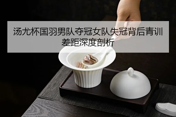 汤尤杯国羽男队夺冠女队失冠背后青训差距深度剖析
