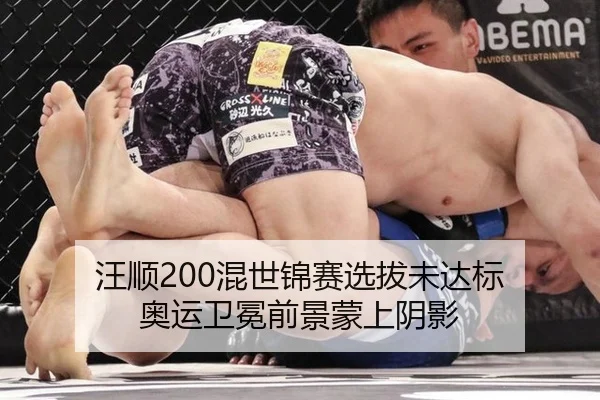 汪顺200混世锦赛选拔未达标 奥运卫冕前景蒙上阴影