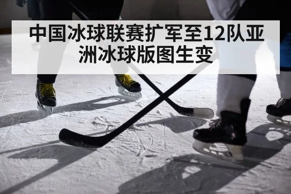 ice hockey players